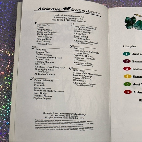 ABEKA Homeschool NO LONGER A NOBODY Reading Book 2nd Grade Chapter Book - Picture 7 of 9